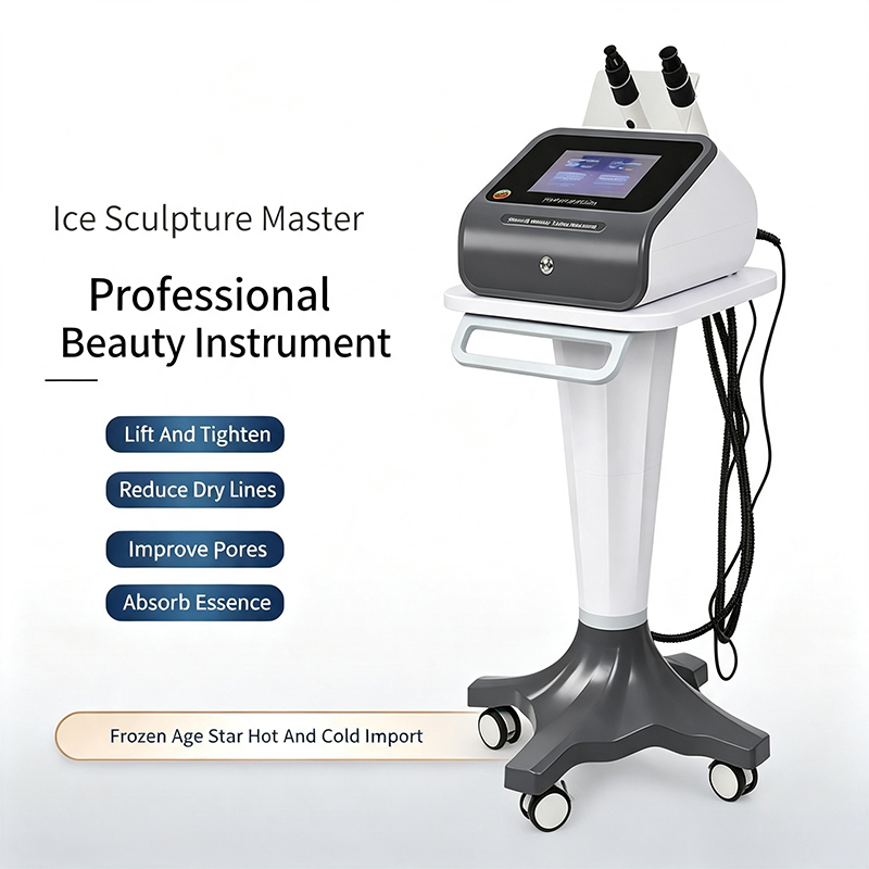 Ice Sculpture Master RF Facial - đánh giá và giá Master Nutrition & Fitness Club Kuchaman City Reviews