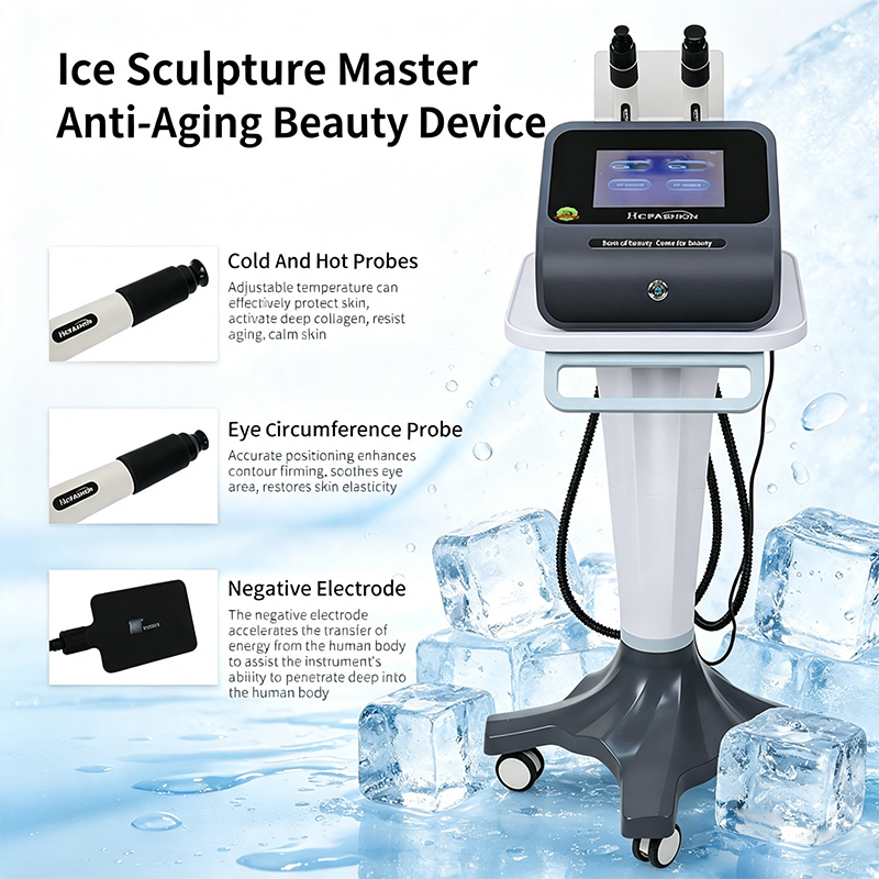 Ice Sculpture Master RF Facial - đánh giá và giá Master Nutrition & Fitness Club Kuchaman City Reviews
